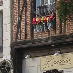 Biblioteca de Luynes Biblioteca de Luynes