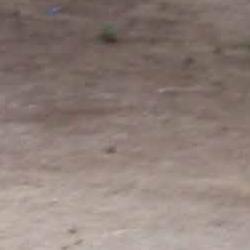 Lugar celebración chorizo Barcelona 2010 Lugar celebración chorizo Barcelona 2010