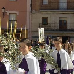 Domingo de Ramos 2017 15