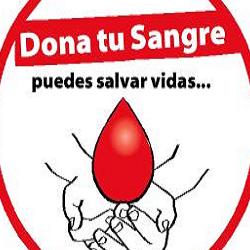 Dona tu sangre