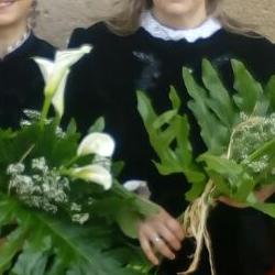 Fotos subida Virgen 9