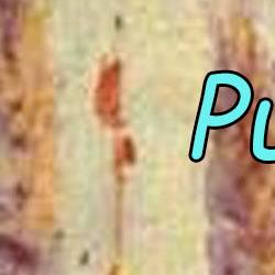 Mercado medieval 2016