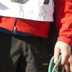 CAMPEONATO DE ESPAÑA TRINEO CON PERROS CAMPEONATO DE ESPAÑA TRINEO CON PERROS