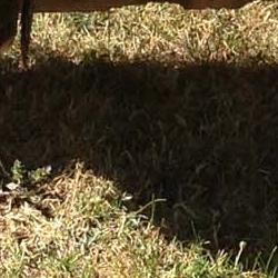 Verano infantil 2016 2