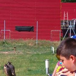 Verano infantil 2016 3