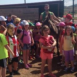 Verano infantil 2016 7